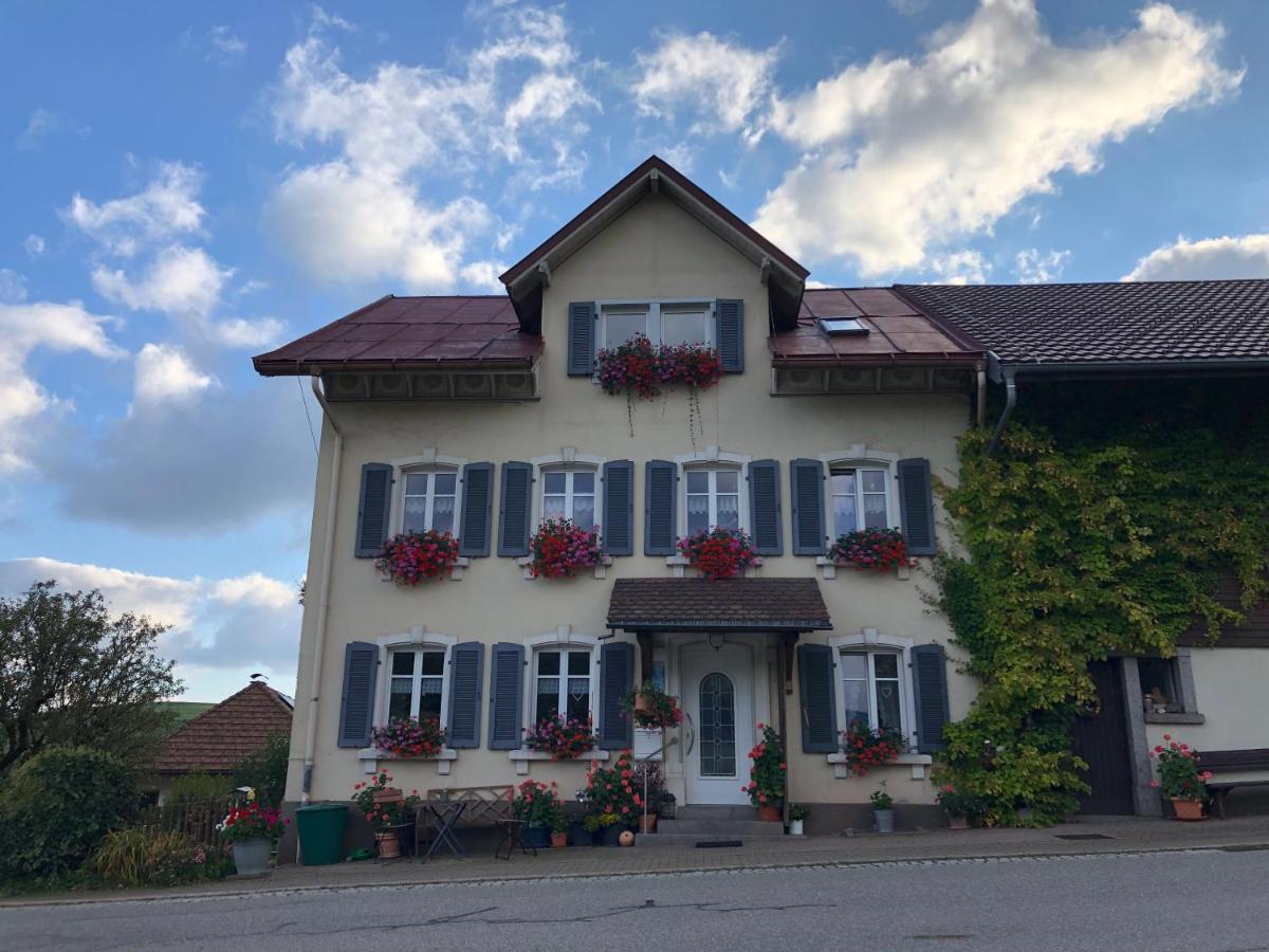 Ferienwohnung Haus Sutter ショップハイム エクステリア 写真