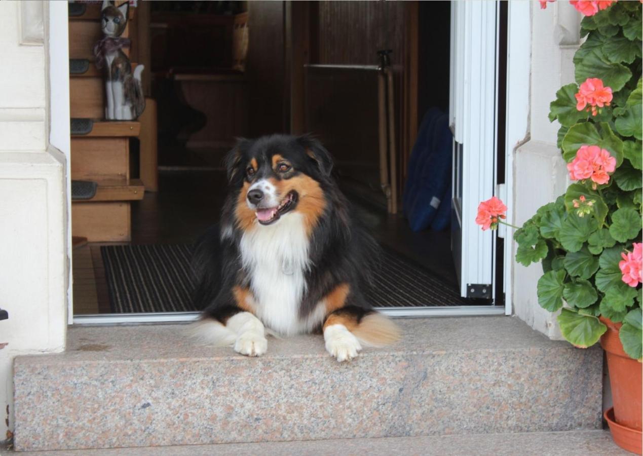 Ferienwohnung Haus Sutter ショップハイム エクステリア 写真